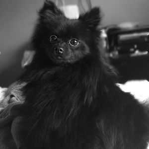 Meet your Posher, Alicia